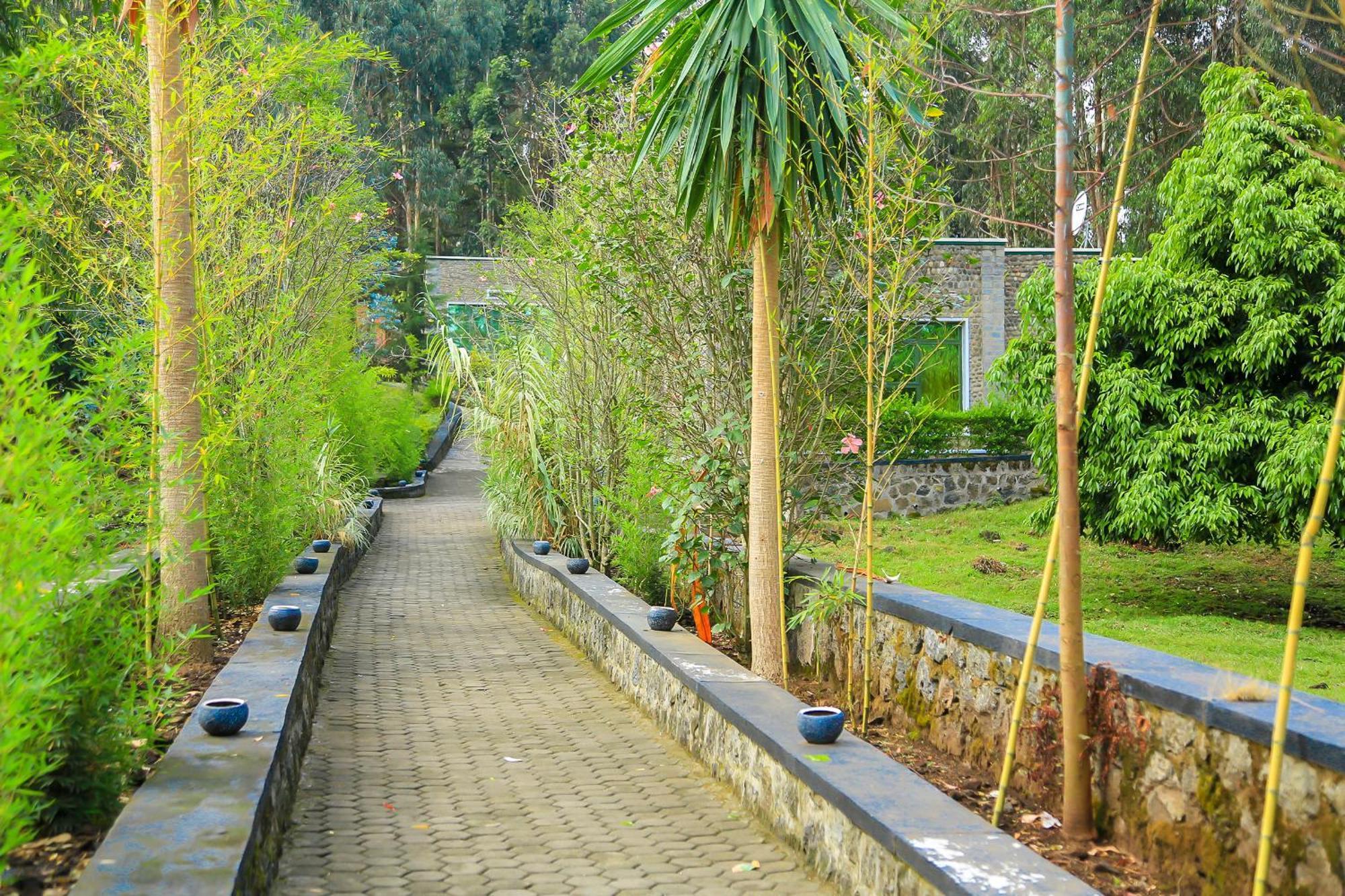 Karisimbi Cave Resort Ruhengeri Kültér fotó